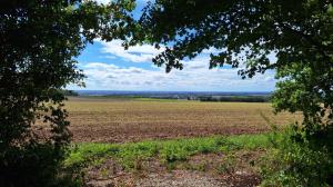 IG-Jahrestreffen 2025