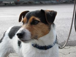 IG-Treffen 2010